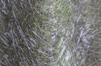 Central fibreglass roof work