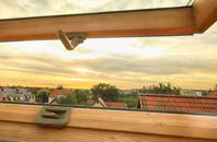 rated Central roof window companies